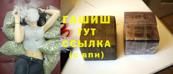 PSILOCYBIN Горняк