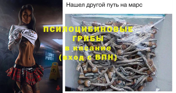 PSILOCYBIN Горняк