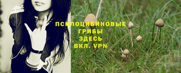 PSILOCYBIN Горняк