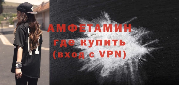PSILOCYBIN Горняк