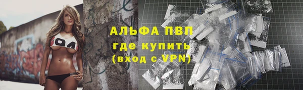 PSILOCYBIN Горняк