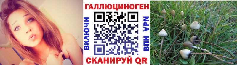 Купить где  Ковылкино  Галлюциногенные грибы мицелий 